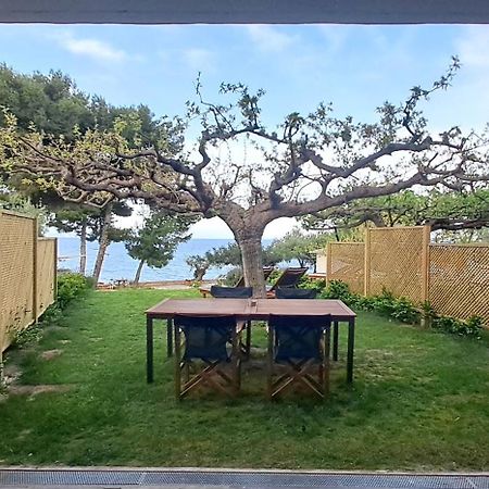 Nama Beach House Arkadiko Chorio 外观 照片